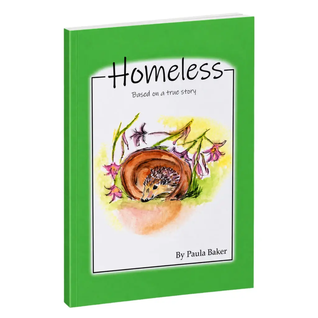 Homeless